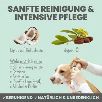 noms+ 2-in-1 Ohrfein Reinigung & Pflege mit kolloidalem Silber