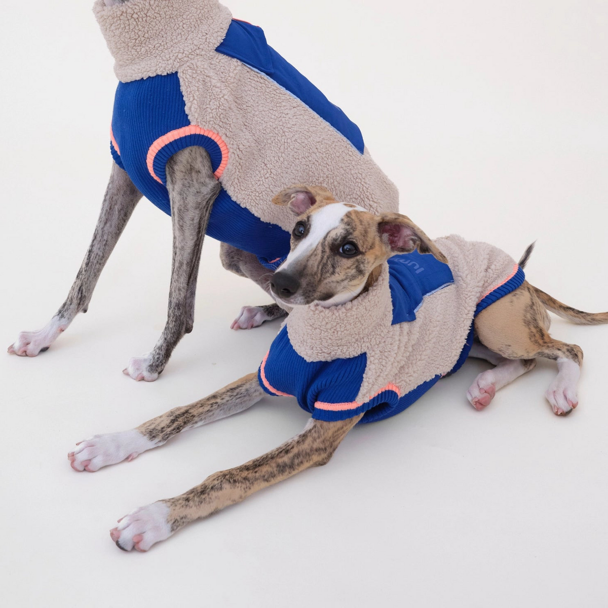 lumiies® Sport Racer Hundepullover aus Teddy-Sherpa-Fleece Royal Alpine