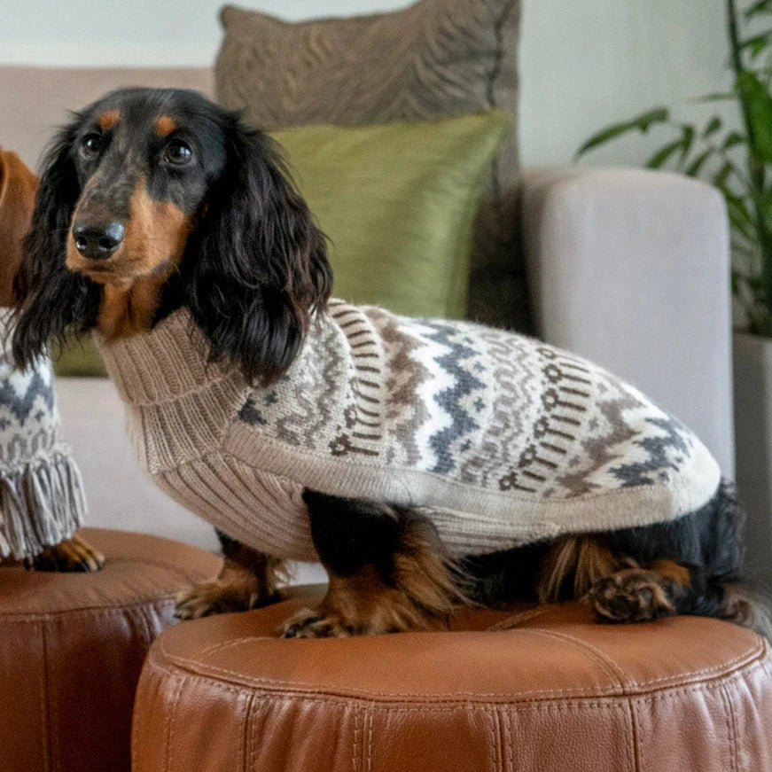 Hundepullover Woolly Beige aus Alpaka