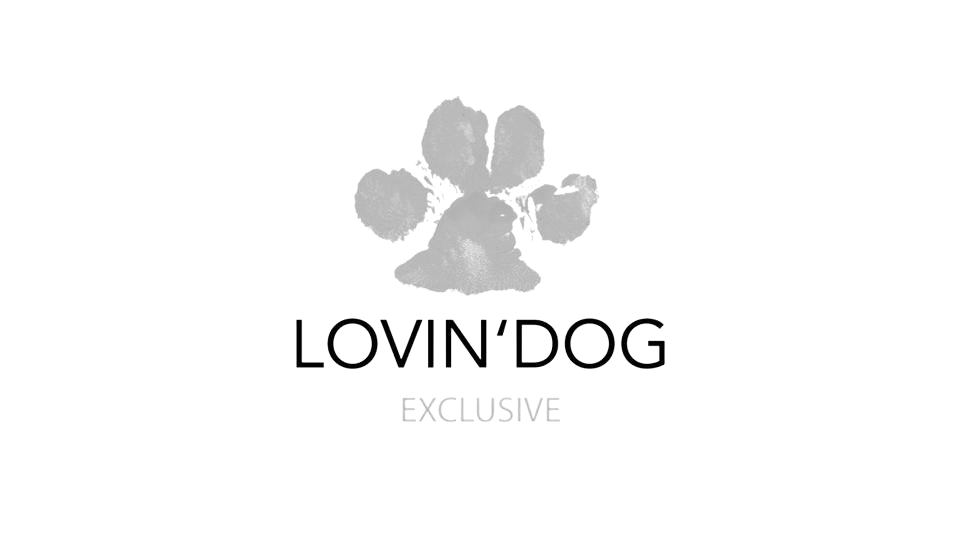 LOVIN'DOG exlusive Logo
