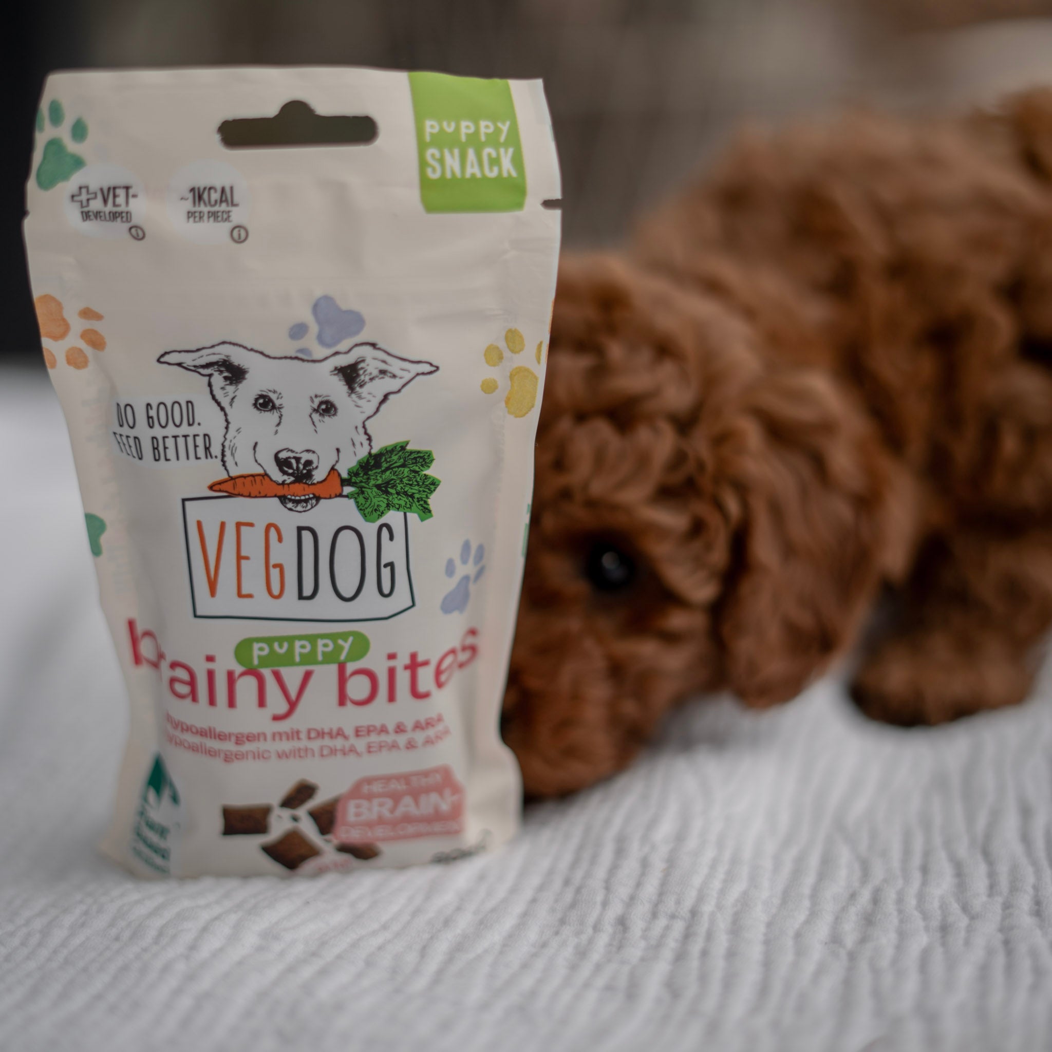 VEGDOG Brainy Bites