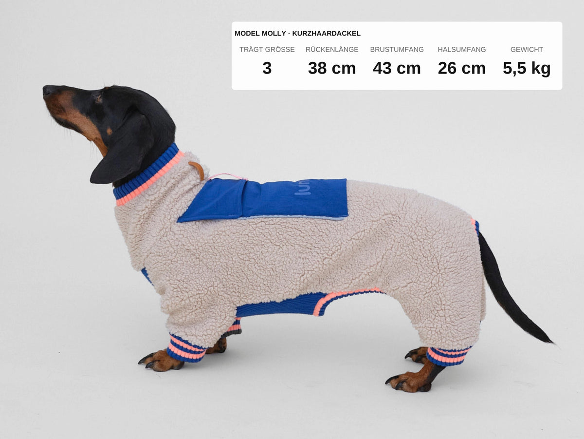 lumiies® Sport Racer Hundeoverall aus Teddy-Sherpa-Fleece Royal Alpine