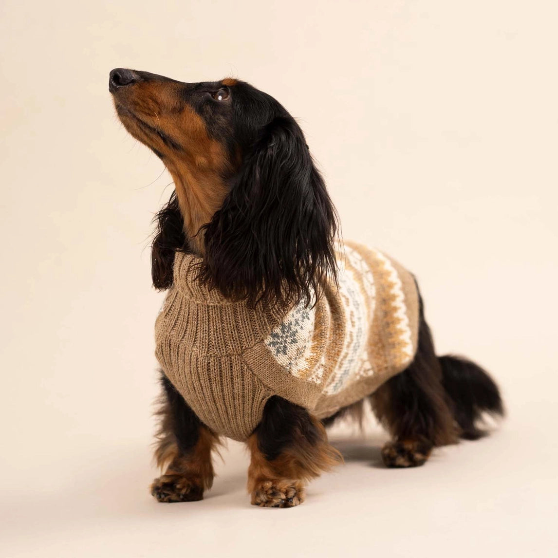 Hundepullover Fall Medley aus Alpaka