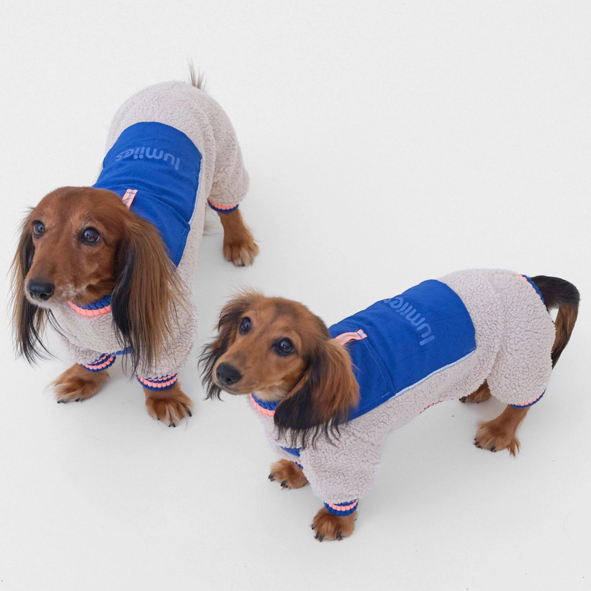 lumiies® Sport Racer Hundeoverall aus Teddy-Sherpa-Fleece Royal Alpine