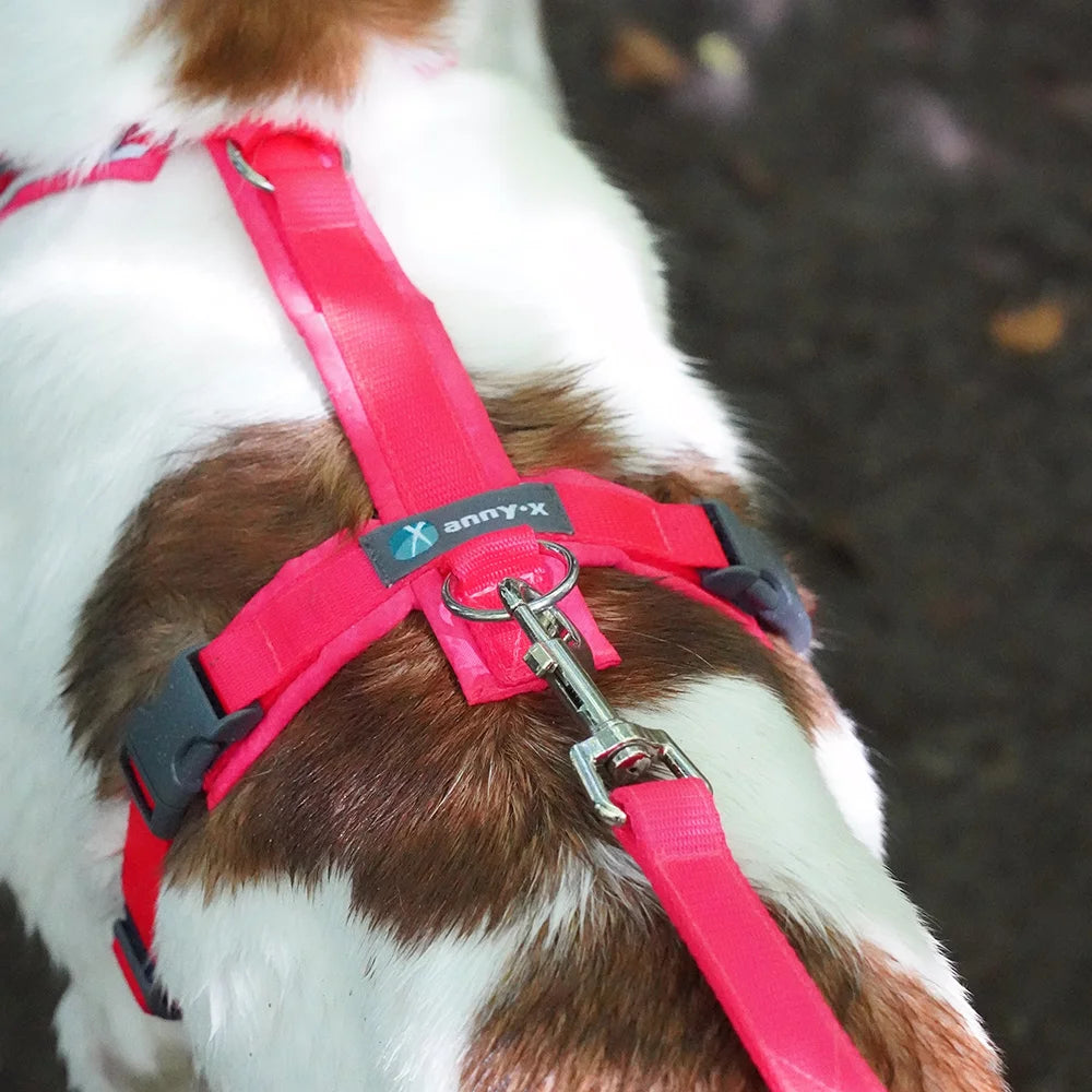 annyx Führleine Bolt Protect Leuchtpink
