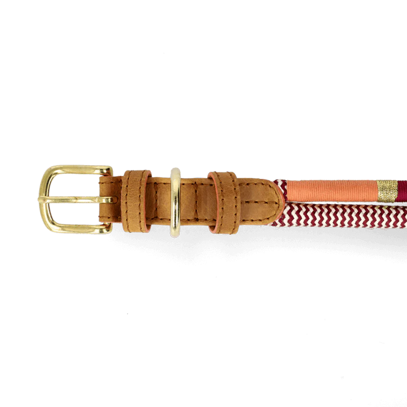 Chommies Adjustable Dog Collar Halsband Summer