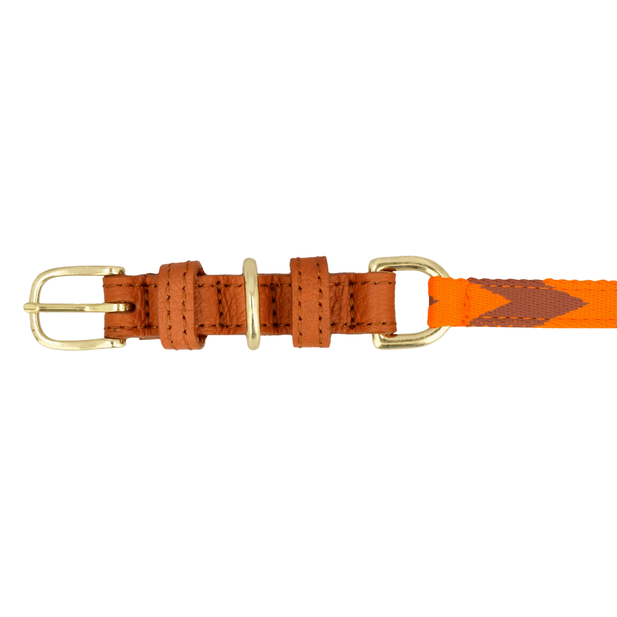 Chommies Adjustable Dog Collar Halsband | Orange & Cognac