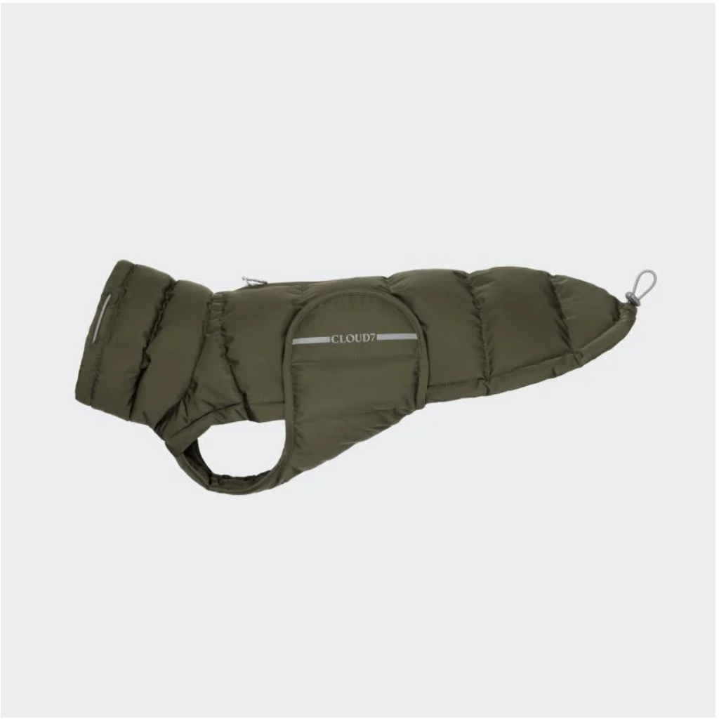 Cloud7 Hundemantel Winter ALASKA Dackel Olive