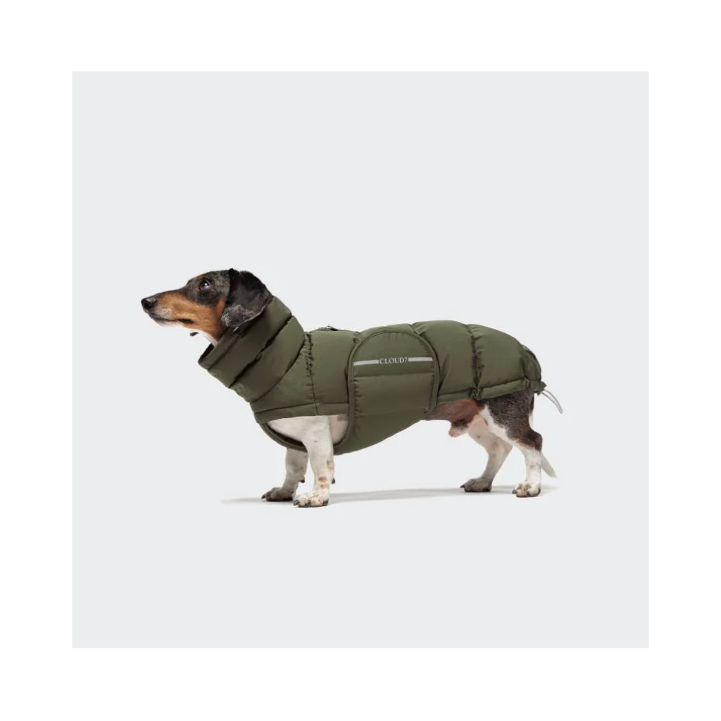 Tragebild Cloud7 Hundemantel Winter ALASKA Dackel Olive