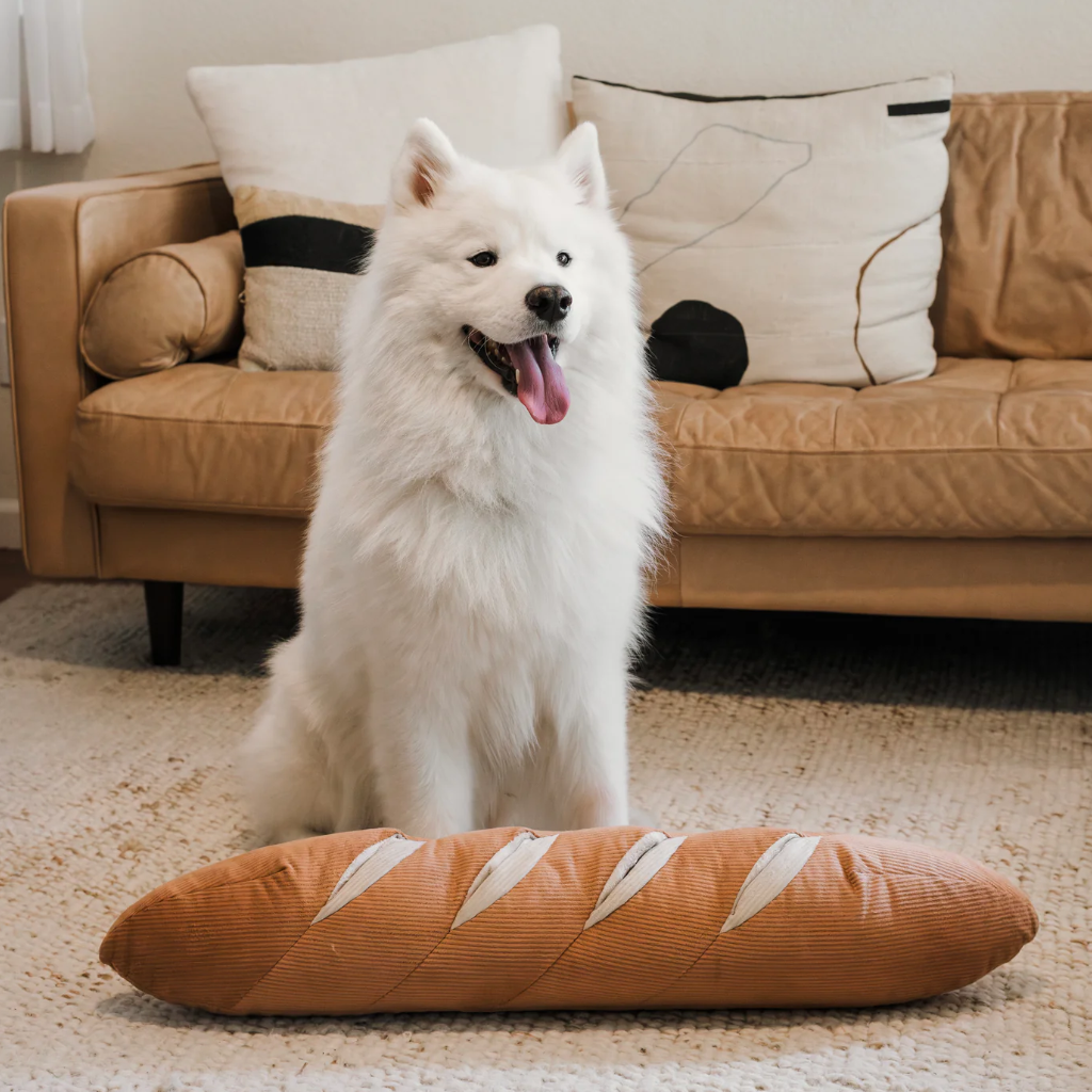 Hund hinter Schnüffelspielzeug Baguette GIANT - Lambwolf Collective