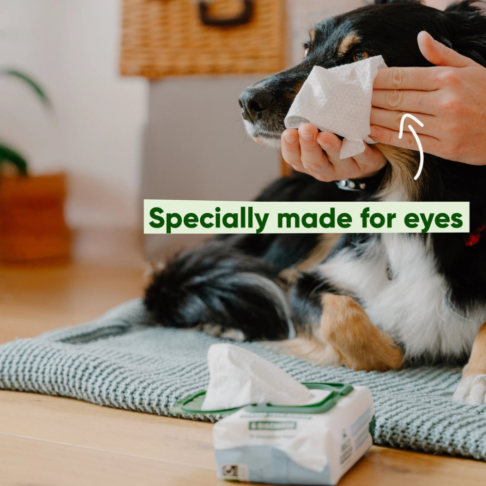 Beispiel 2 Augen-Reinigungstücher für Hunde - Beco Pets