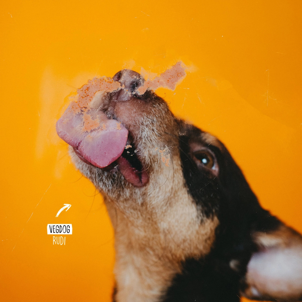 Beispielinhalt Tube hypoallergene Leverwurst - VEGDOG