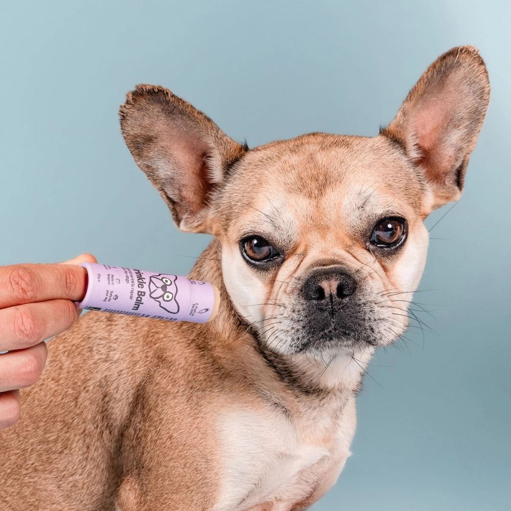 Benutzung Faltenbalsam Pflegestift für Hunde - Butchcare