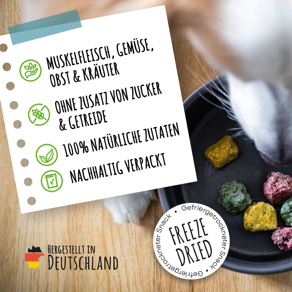 SmoothieDog Bites Lamm gefriergetrocknet