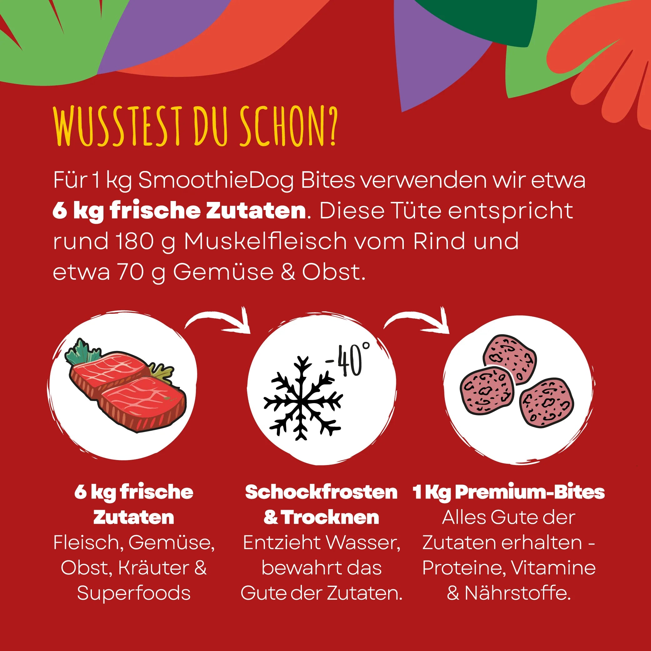 SmoothieDog Bites Rind gefriergetrocknet