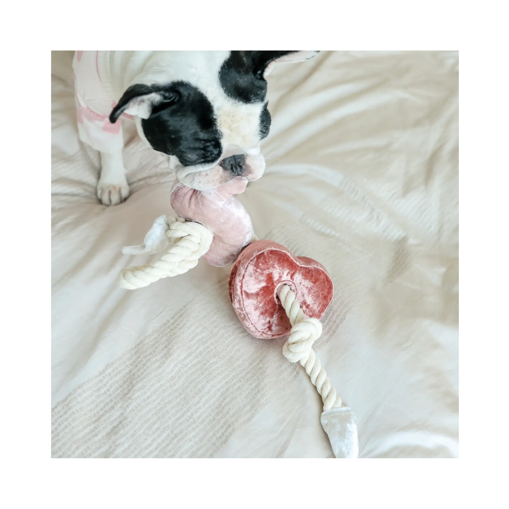 Hund mit Hundespielzeug BLOCS mit Seil Valentines-Special - Lambwolf Collective