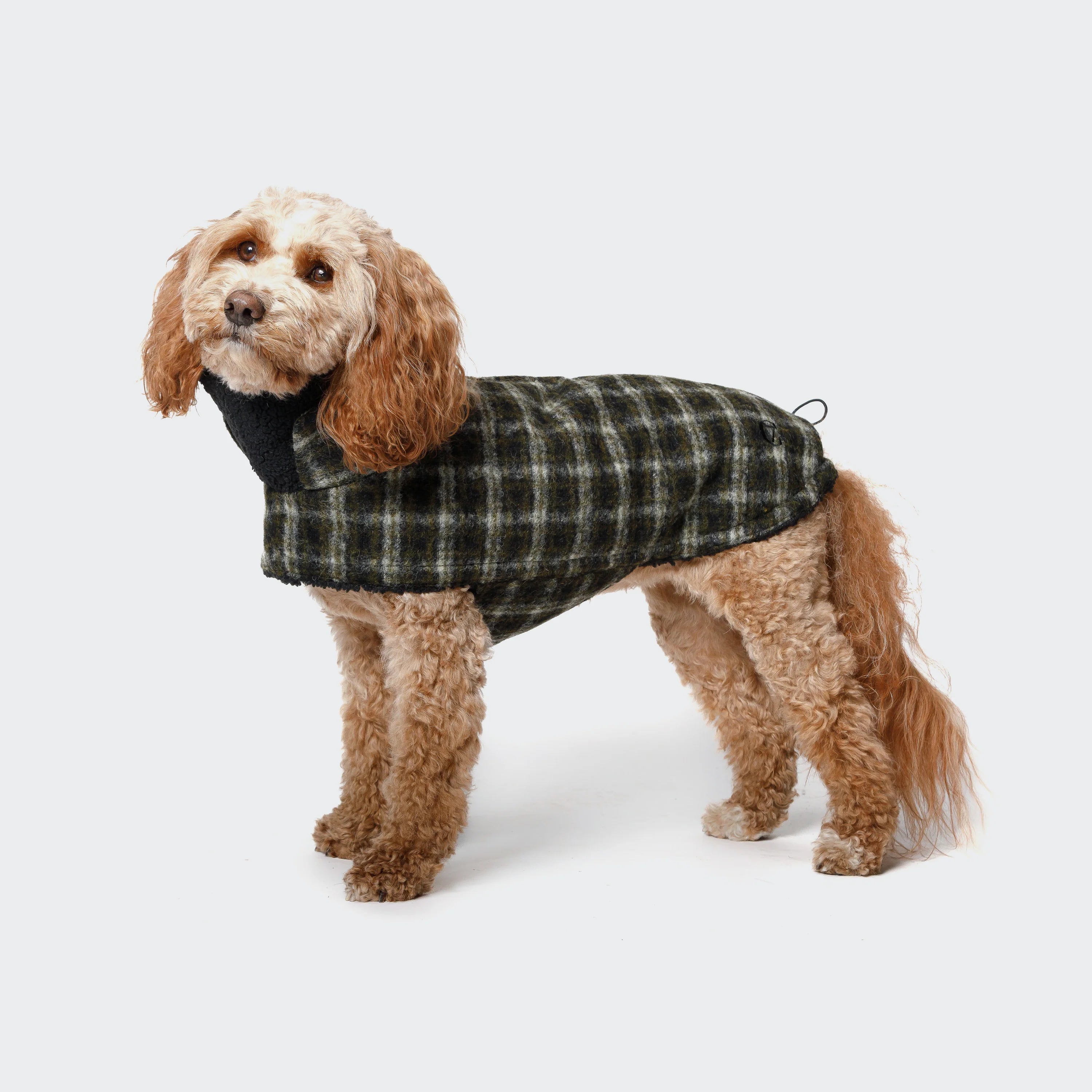 Tragebild Cloud7 Hundemantel Brooklyn Plaid Green