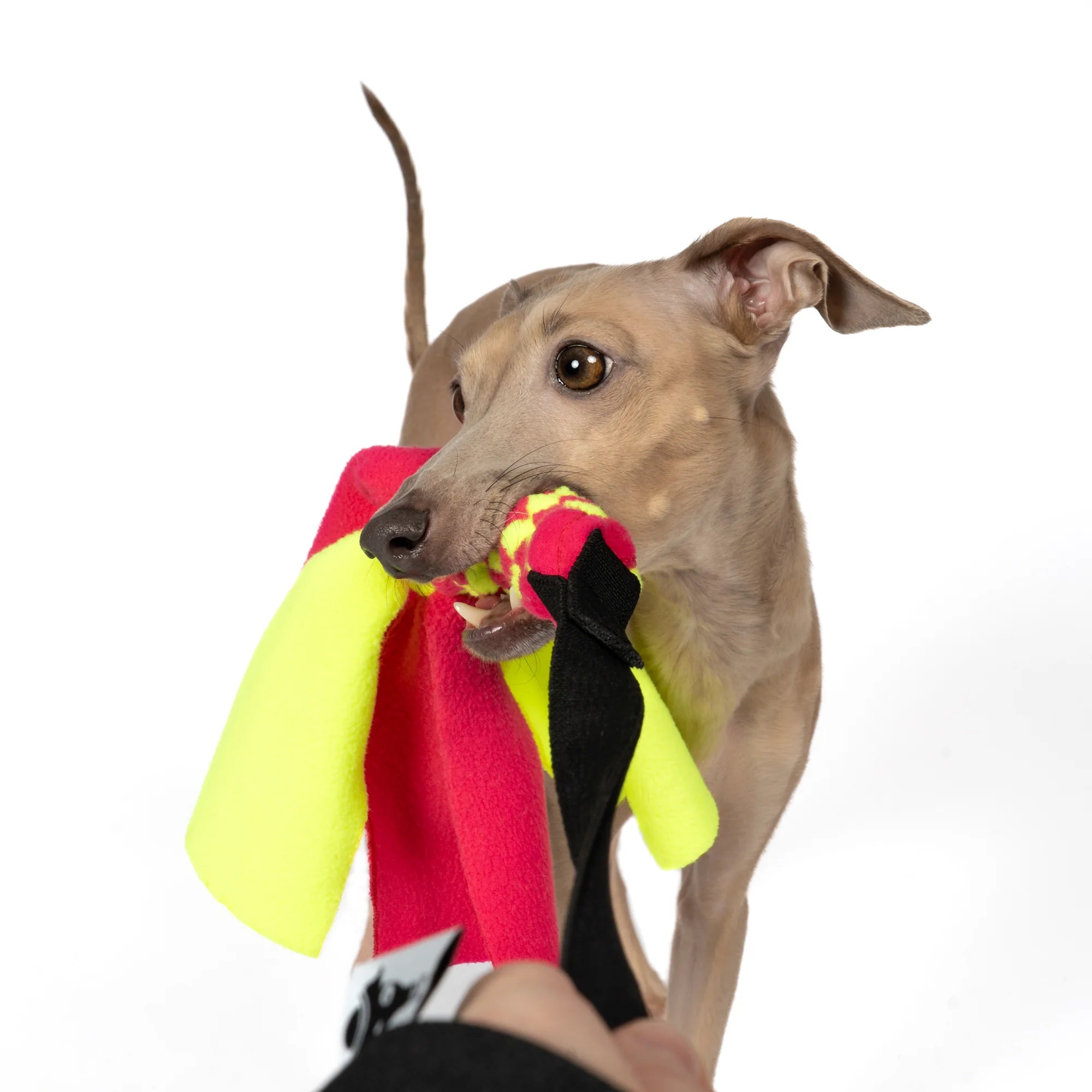 KARMA HUND Bungee-Tau Fleece Magnet & Neon Yellow