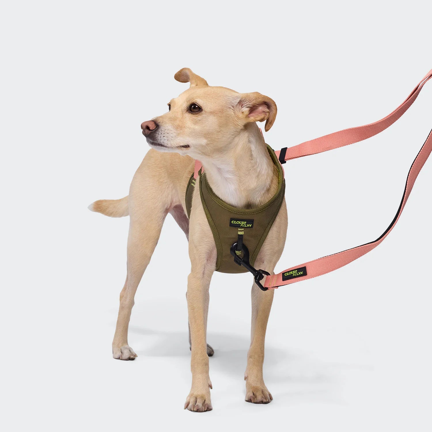 Cloud7 AKTIV V-2 Westengeschirr Cordura Khaki Peach