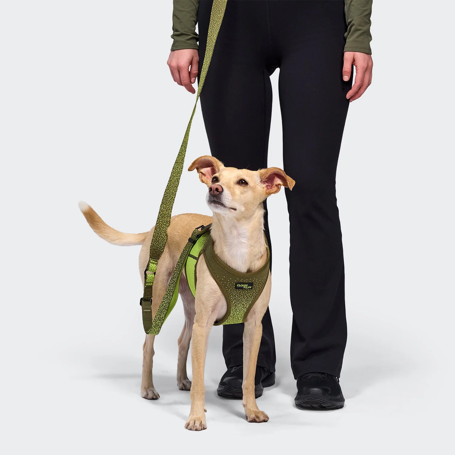 Cloud7 AKTIV Handsfree Hundeleine L-3 Knit Khaki / Neon Green