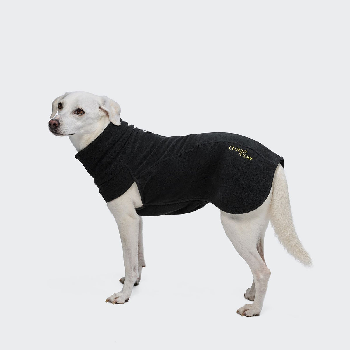 Cloud7 Aktiv Body Warmer Fleece Black Tragebild