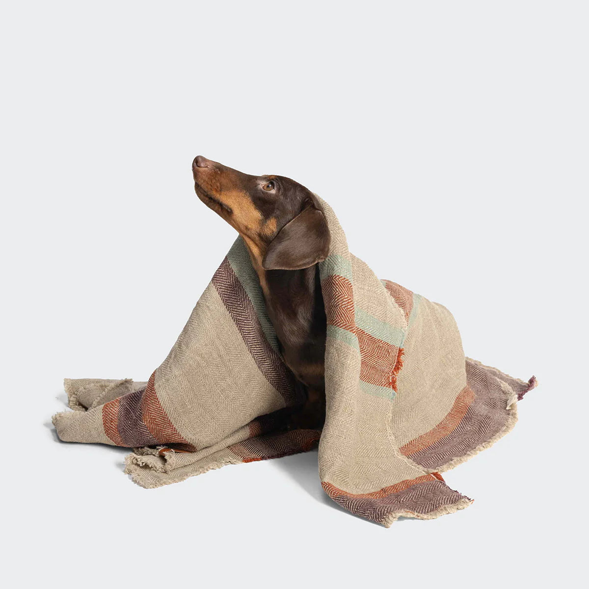 Cloud7 Hundedecke Linen Stripes