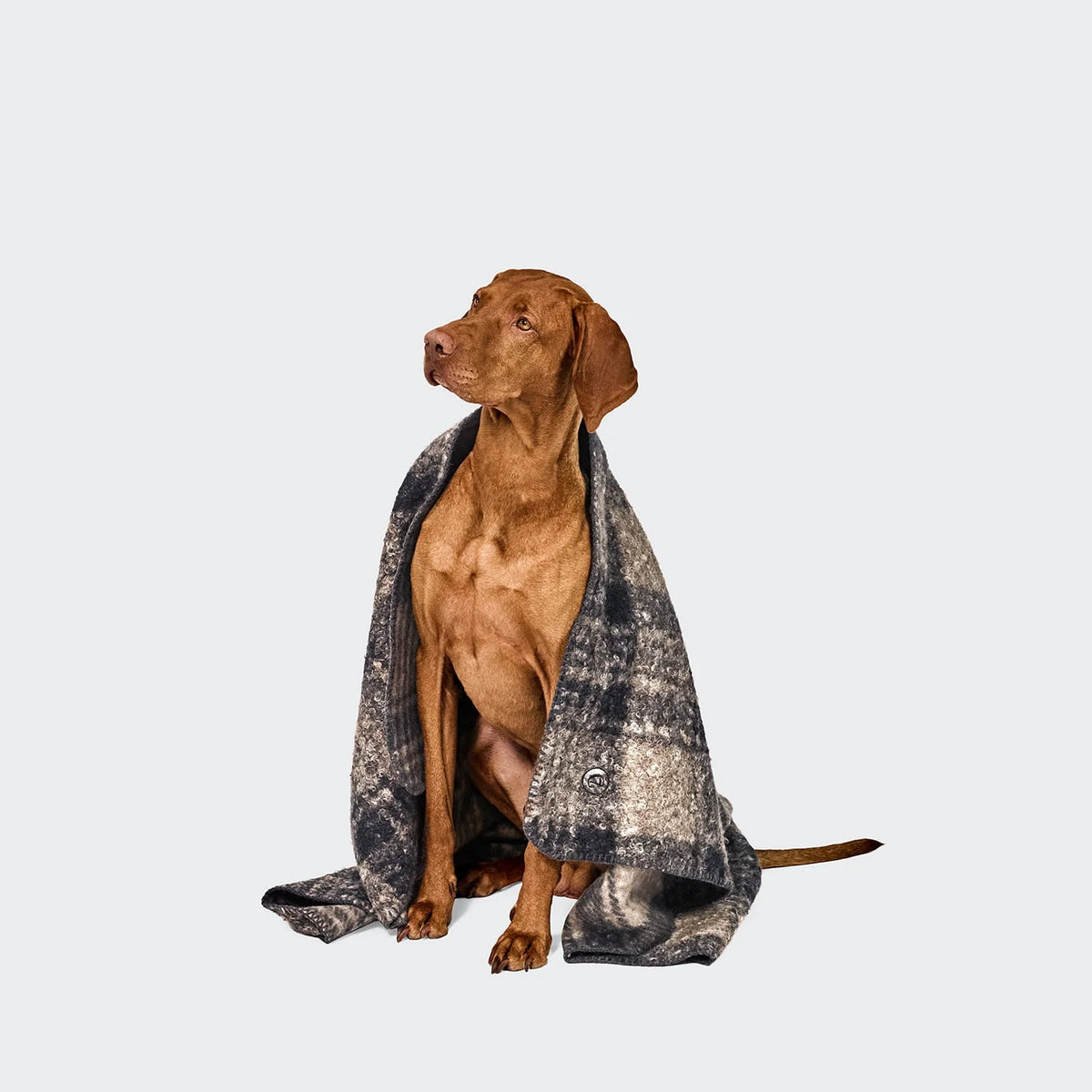 Cloud7 Hundedecke Bouclé Tartan