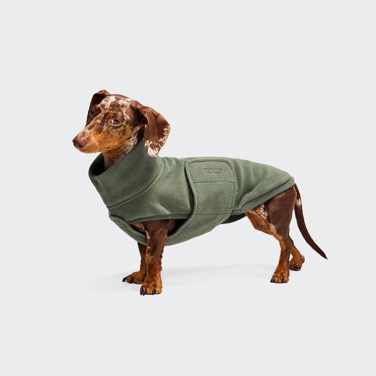 Cloud7 Hundepullover DACKEL Soft Fleece Derby 2.0 Khaki Tragebild
