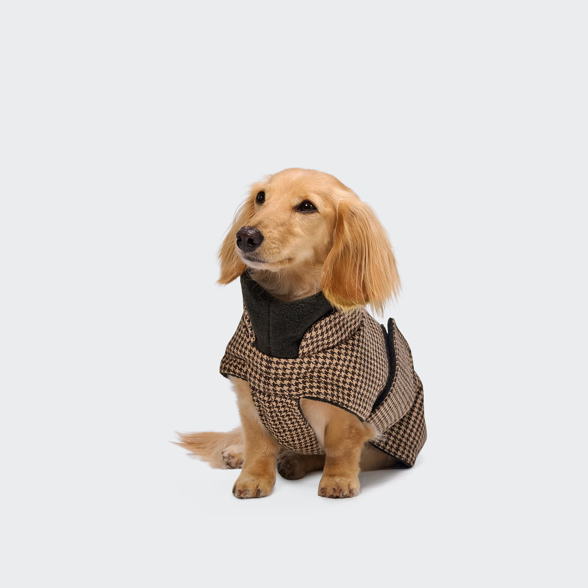 Cloud7 Hundemantel DACKEL Brooklyn Houndstooth Tragebild 2