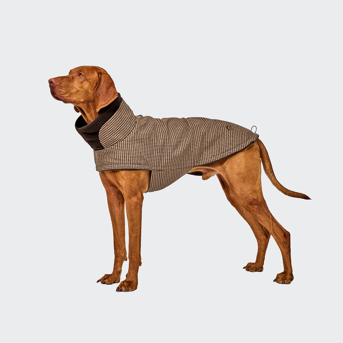Cloud7 Hundemantel Brooklyn Houndstooth Tragebild