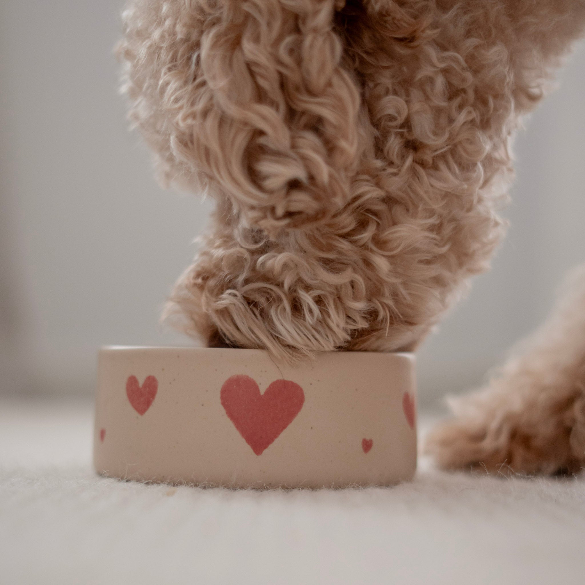 2er-Set Hundenapf LOVE Edition