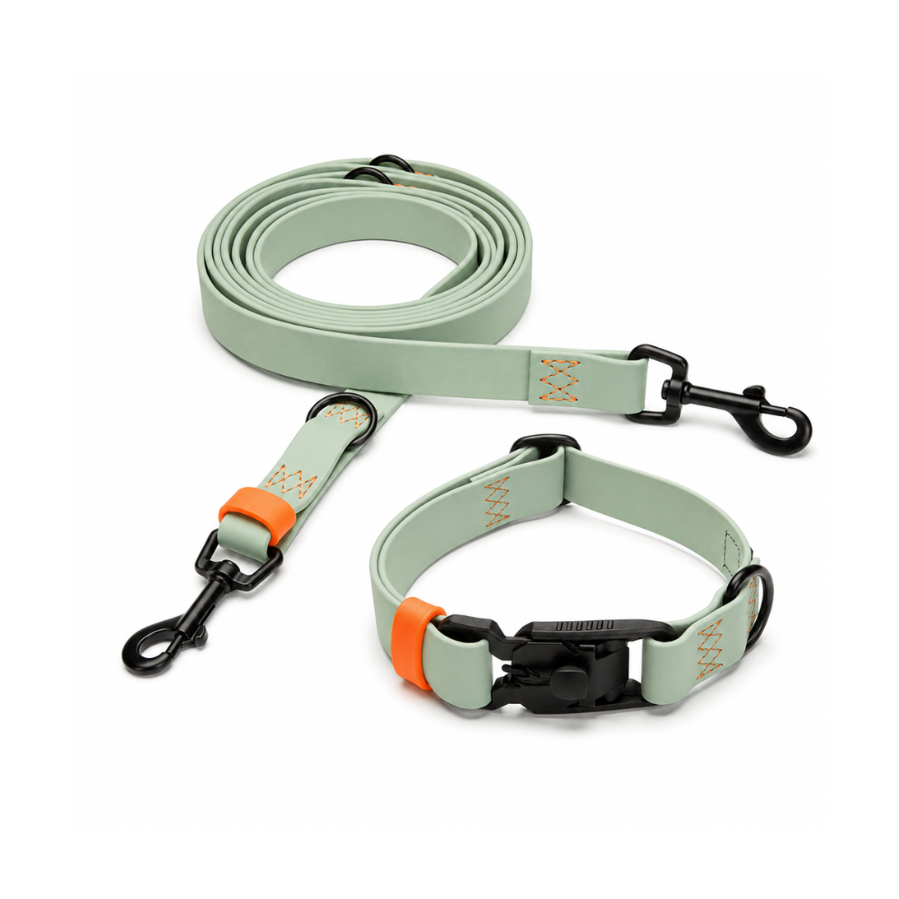 CLOUD7 Set Hundehalsband & Hundeleine BioThane Ipanema Mint-Neon Orange