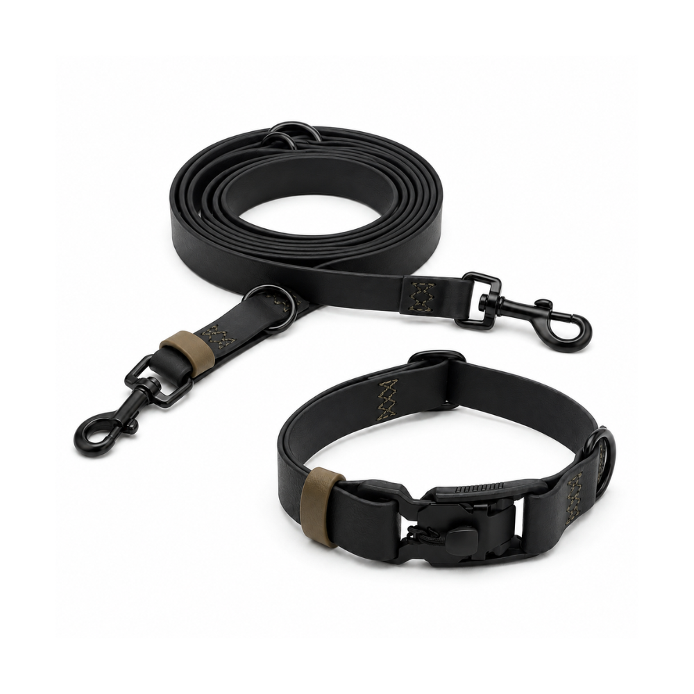 CLOUD7 Set Hundehalsband & Hundeleine BioThane Ipanema Schwarz-Olive