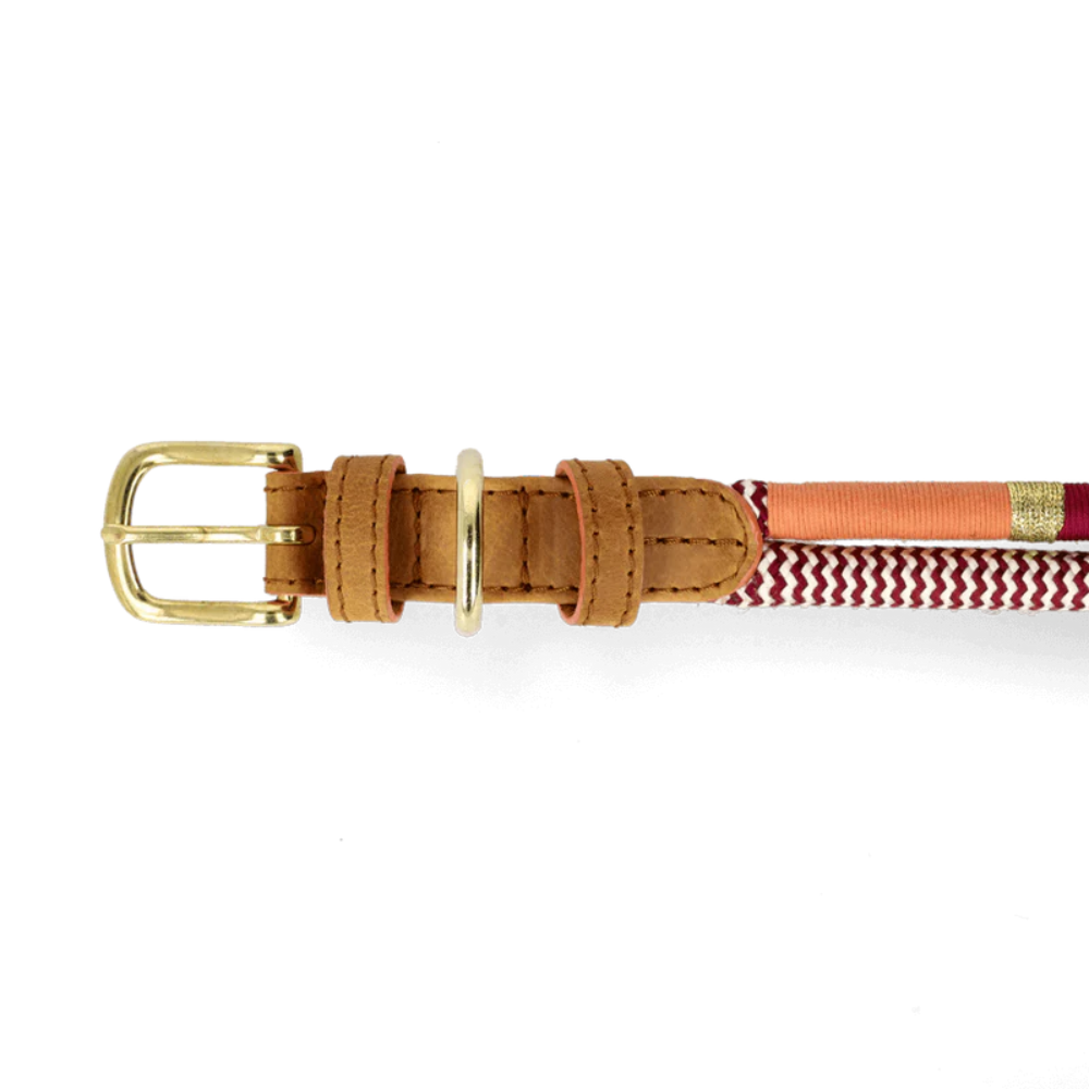 Chommies Adjustable Dog Collar Halsband Autumn Verschluss