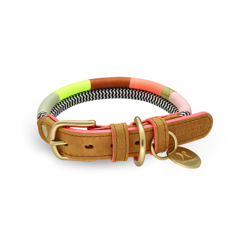 Chommies Adjustable Dog Collar Halsband Popsicle