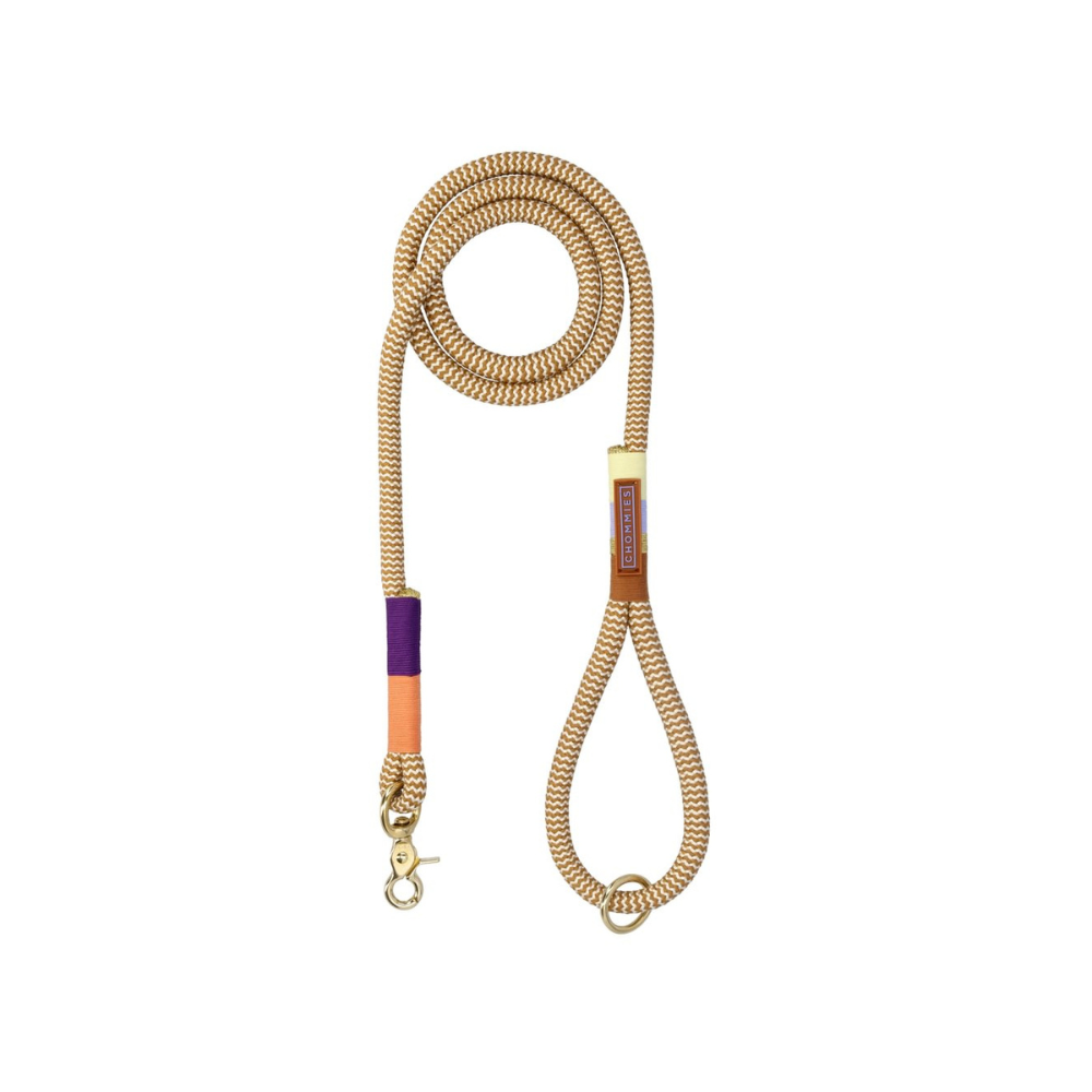 Chommies Everyday Dog Leash Cityleine Summer