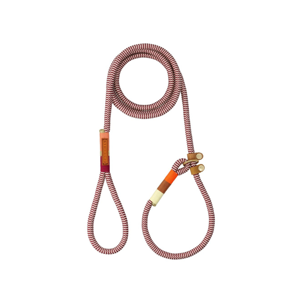 Chommies Slip-On Dog Leash Retrieverleine Autumn