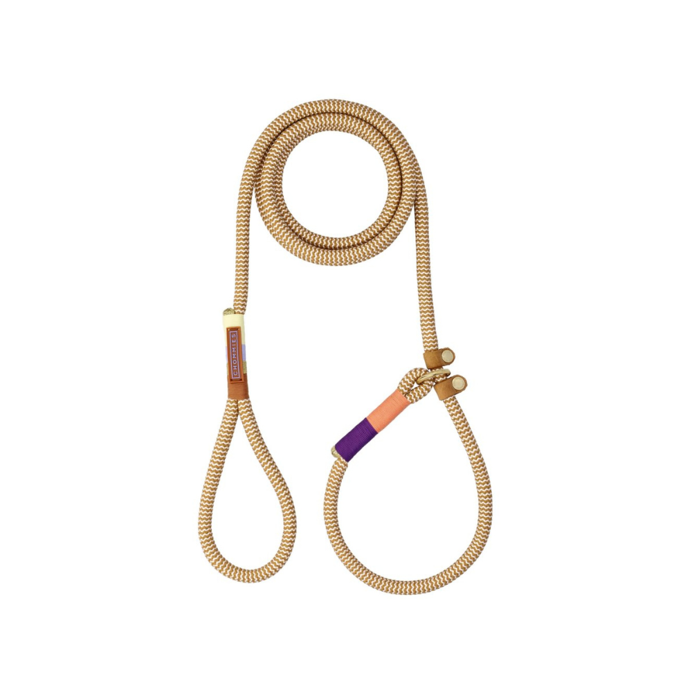 Chommies Slip-On Dog Leash Retrieverleine Summer