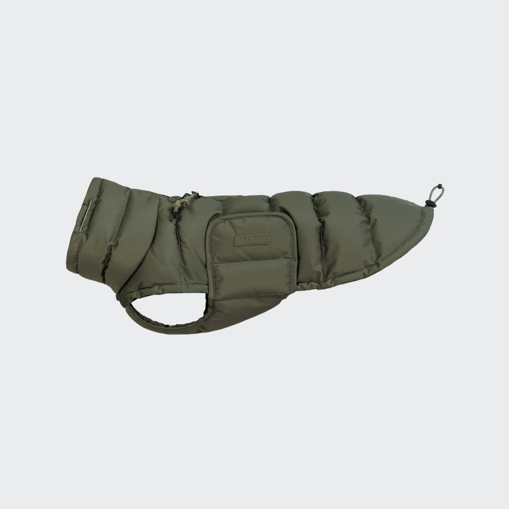 Cloud7 Hundemantel Winter ALASKA Dackel Light Olive