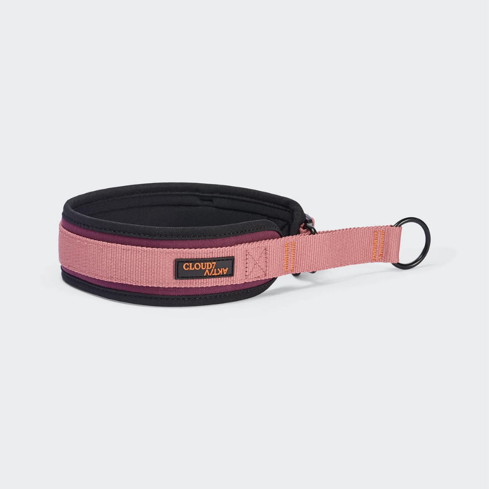 Cloud7 AKTIV C-1 Zugstopp Halsband Softshell Aubergine Soft Rose