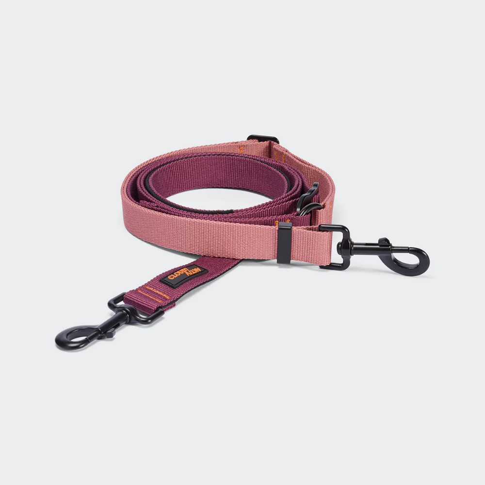 Cloud7 AKTIV Handsfree Hundeleine L-1 Aubergine Soft Rose Größe L