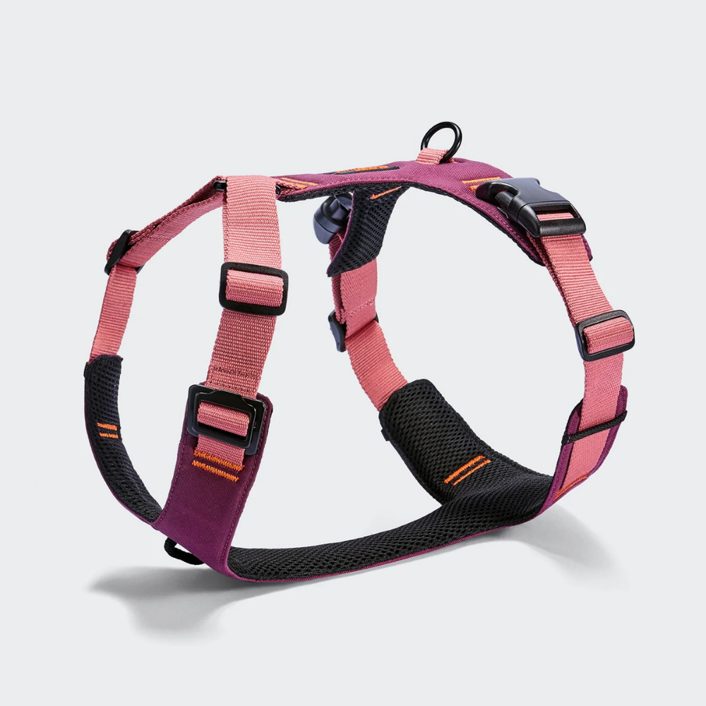 Cloud7 AKTIV Hundegeschirr Y-2 Cordura Aubergine Soft Rose