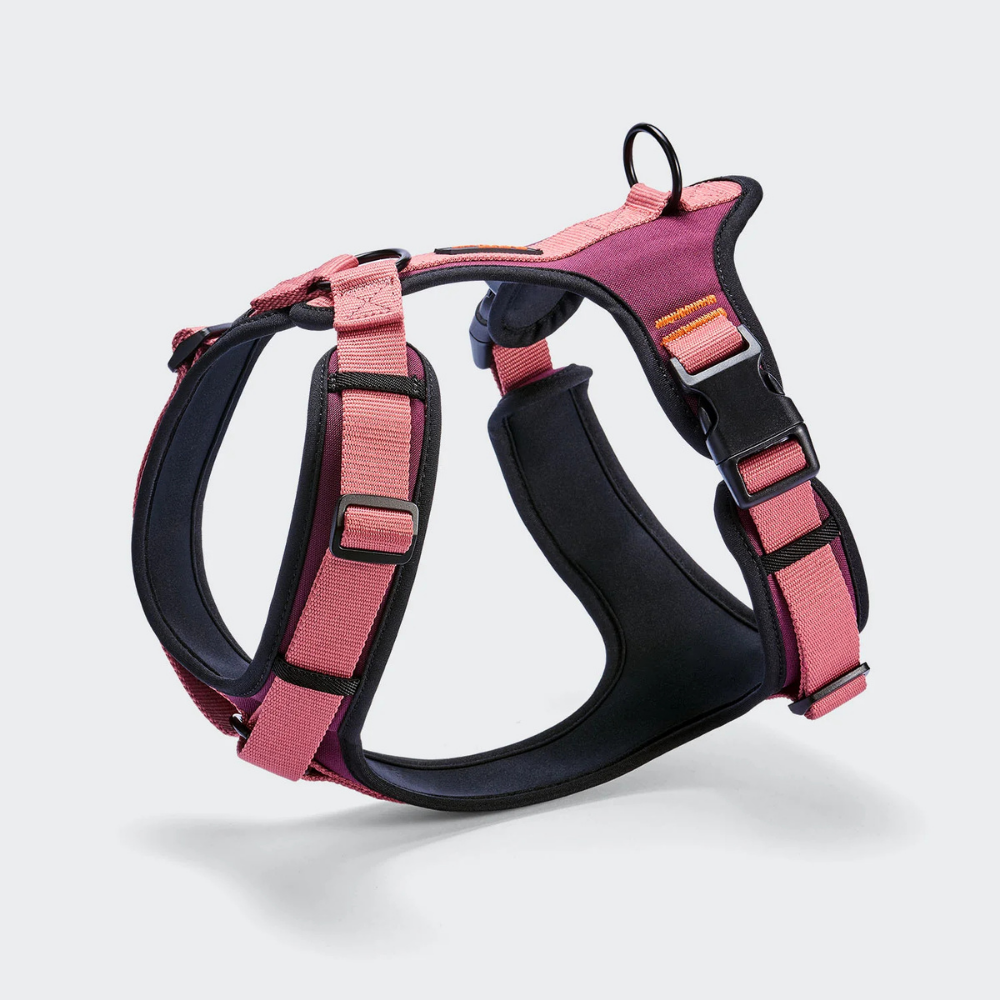 Cloud7 AKTIV Hundegeschirr Y-3 Soft Shell Aubergine Soft Rose