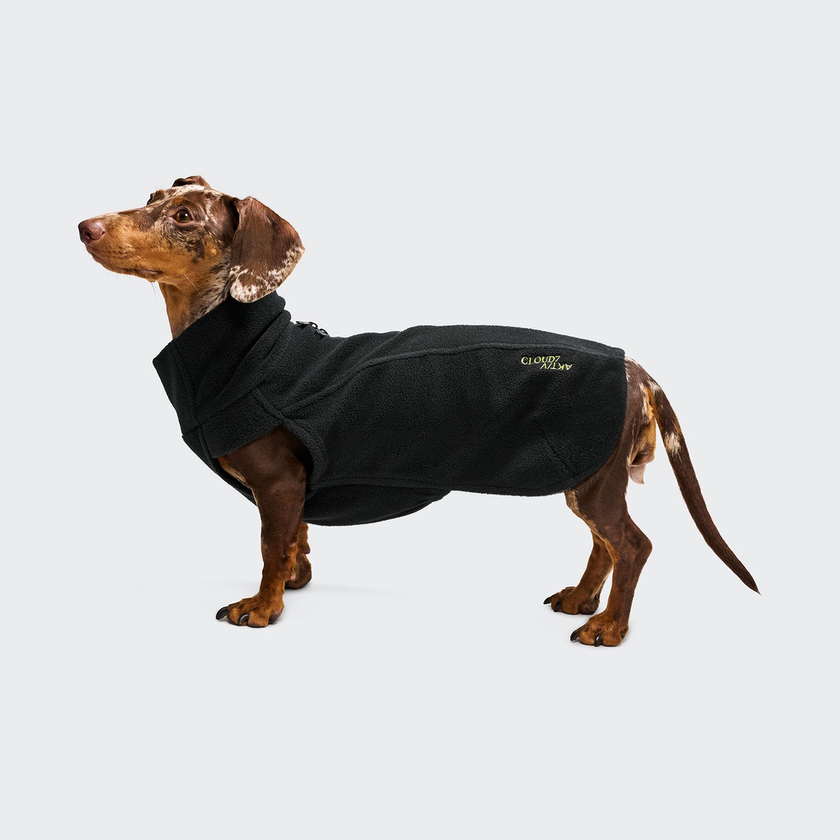 Cloud7 Aktiv Body Warmer DACKEL Fleece Black Tragebild