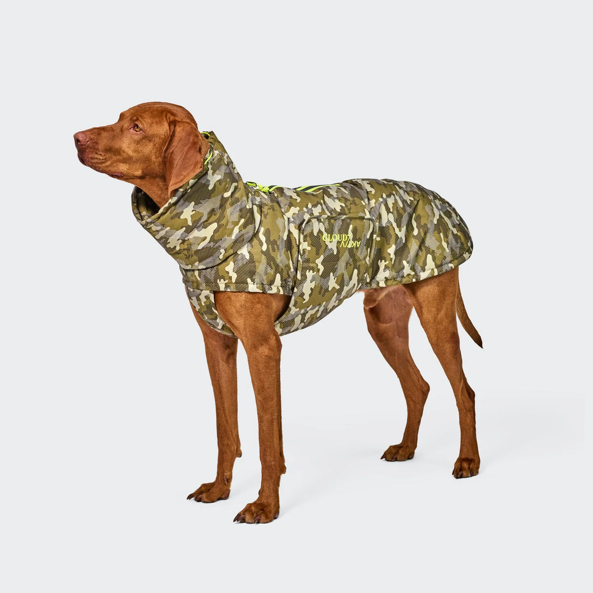 Cloud7 Aktiv Hundemantel Winter ALASKA Camo Tragebild