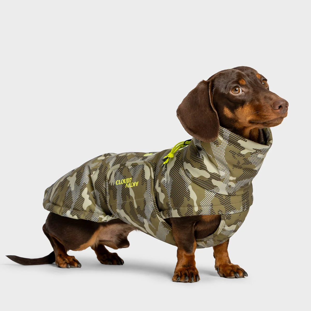 Cloud7 Aktiv Hundemantel Winter ALASKA Dackel Camo Tragebild