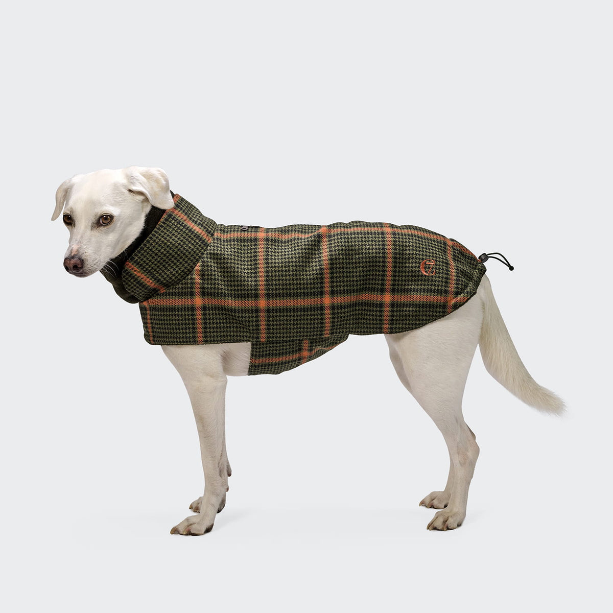 Cloud7 Hundemantel Brooklyn Flanell Tartan Green Tragebild