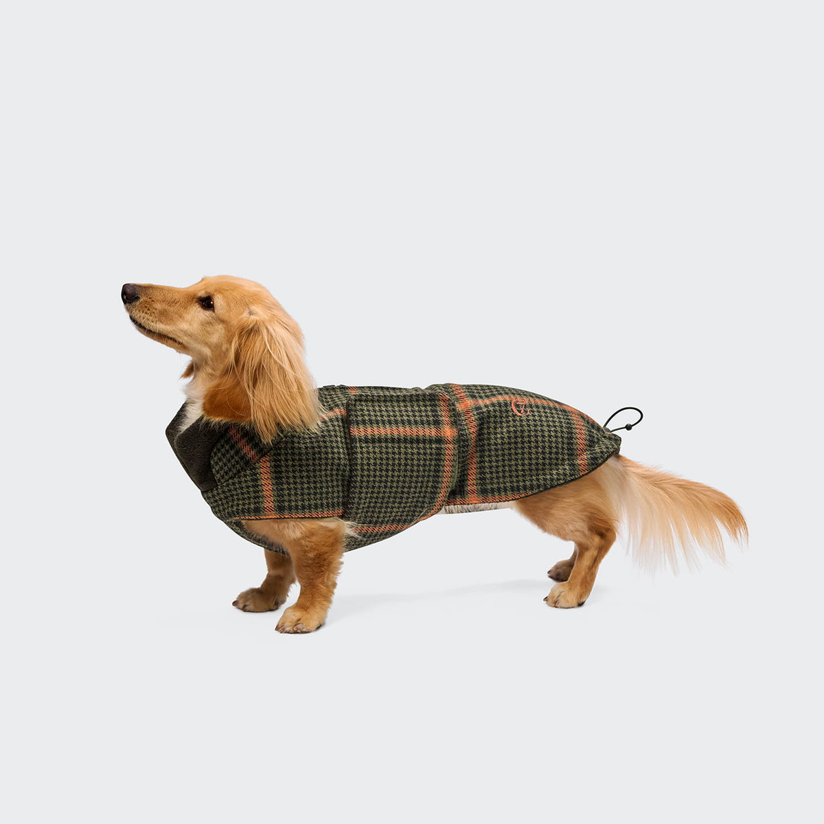 Cloud7 Hundemantel DACKEL Brooklyn Flanell Tartan Green Tragebild 2