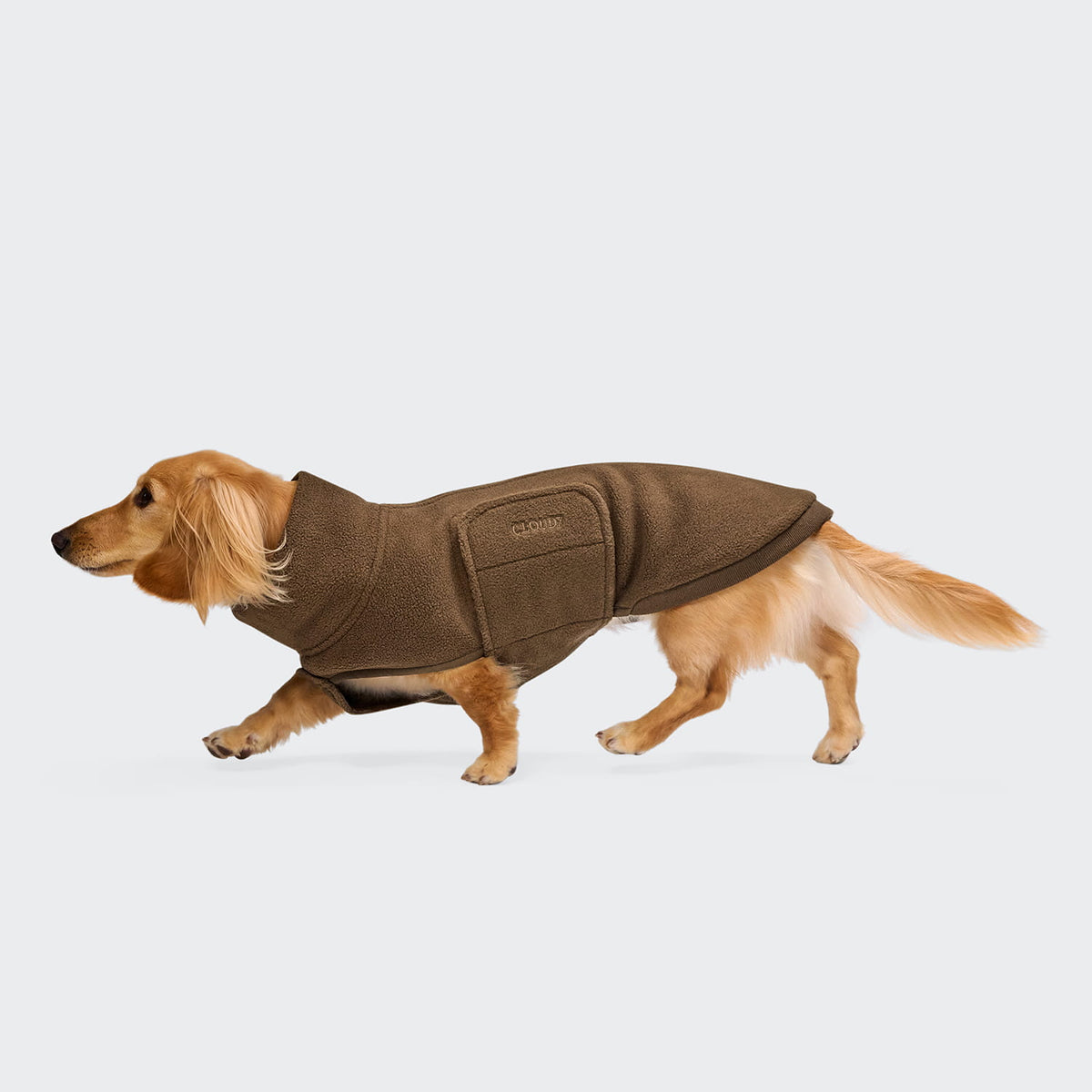 Cloud7 Hundepullover DACKEL Soft Fleece Derby 2.0 Coffee Tragebild