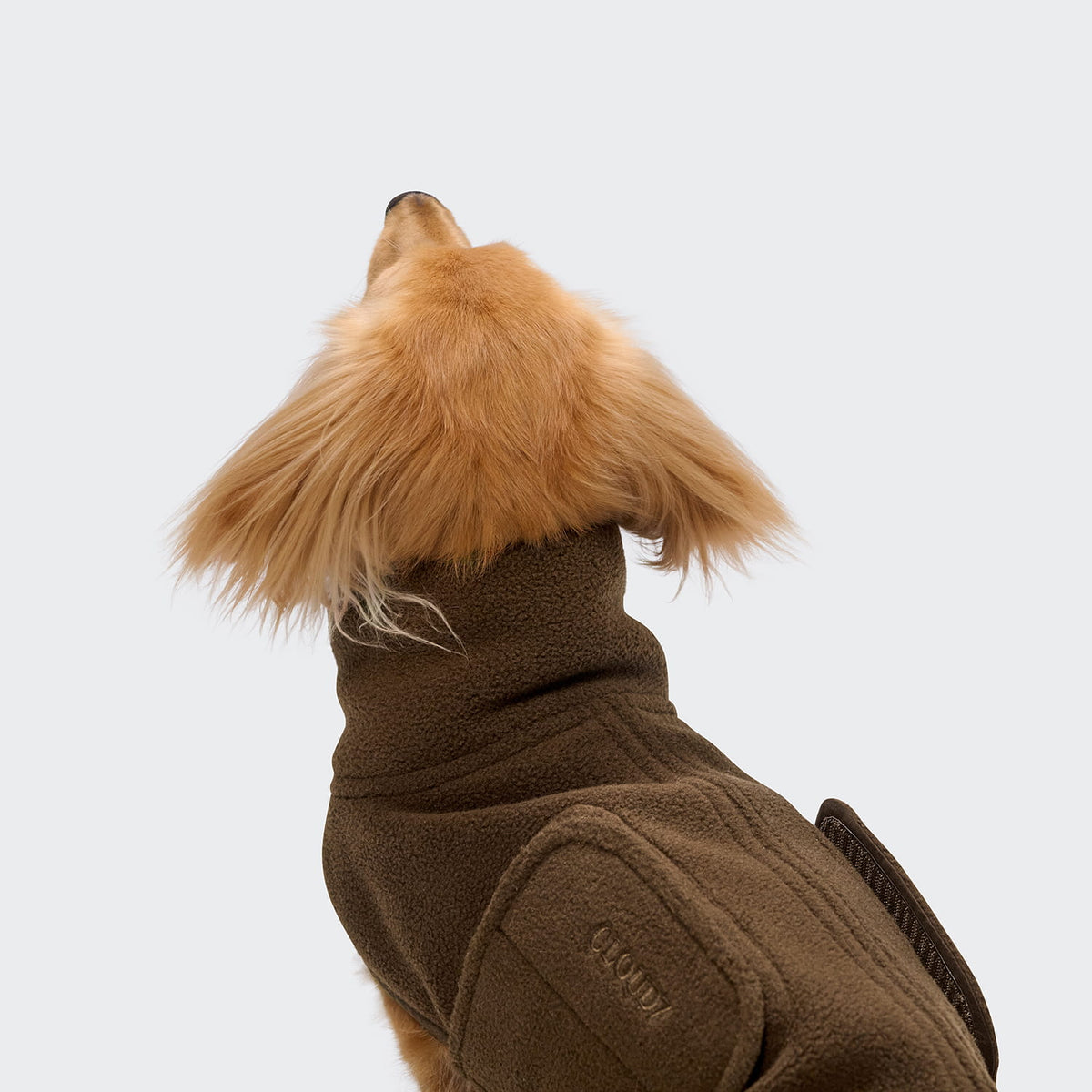 Cloud7 Hundepullover DACKEL Soft Fleece Derby 2.0 Coffee Tragebild 2